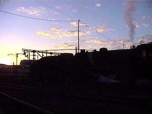 15A silhouette pre sunrise