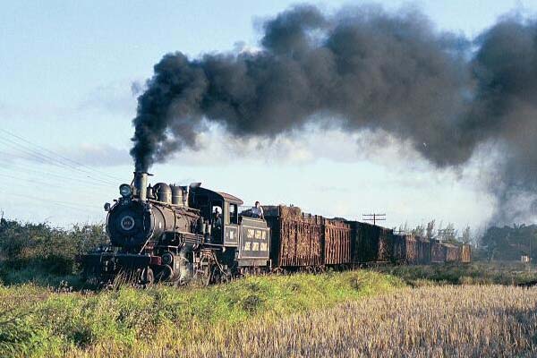 1415 in action