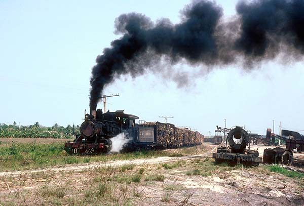 1350 and the remains of 1382