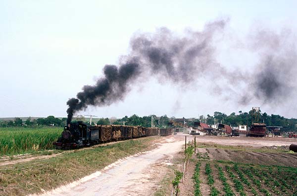 1350 at Santa Isabel