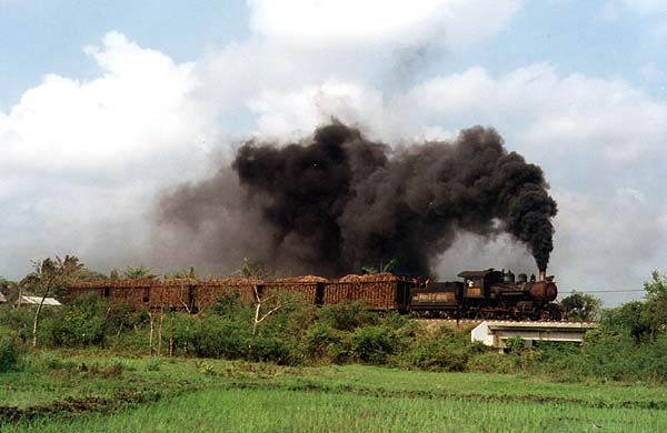 1505 on a morning train