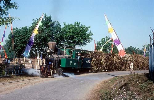 5 in 2000