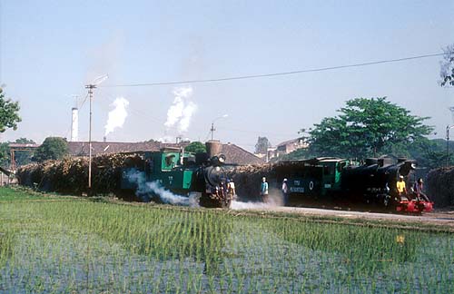 TM 2000