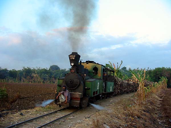 Sindanglaut