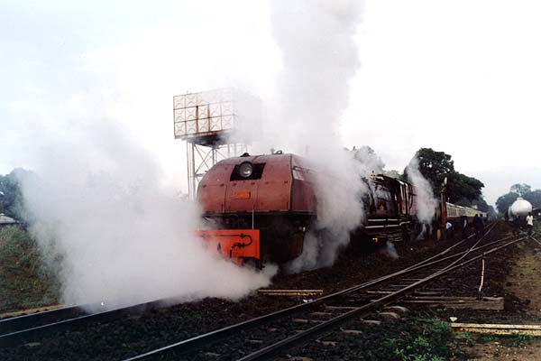 Early morning steam