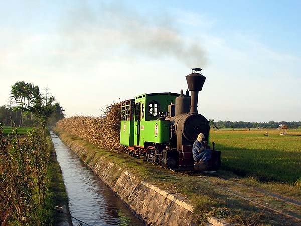 5 near Karangmalang