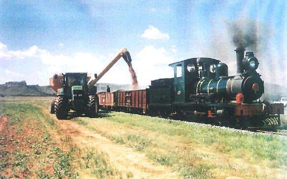 sar03001.jpg (45808 bytes)